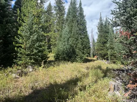 Other - 67 Alpine Ln, Walden, CO 80430 photo 2 of 4