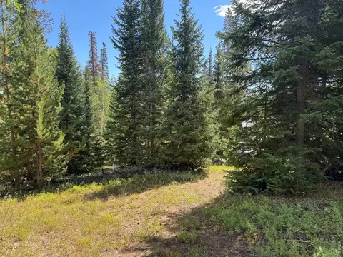 Exterior - 67 Alpine Ln, Walden, CO 80430 photo 11 of 13