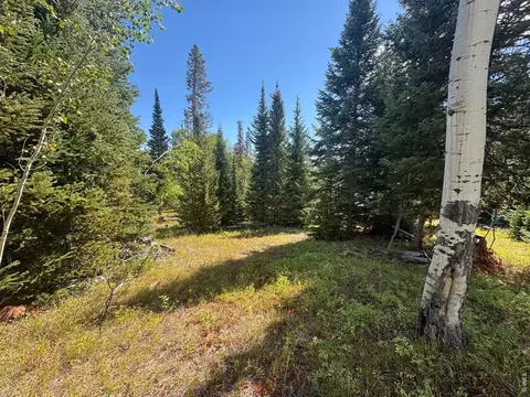 Exterior - 67 Alpine Ln, Walden, CO 80430 photo 6 of 13