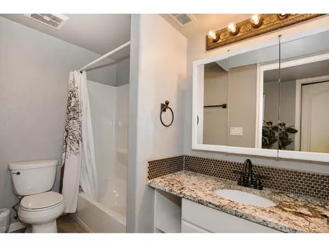Bath - 1414 Canal Dr, Windsor, CO 80550 photo 4 of 4