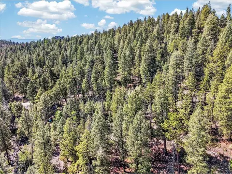 12907 S Cindy Ave, Pine, CO 80470 photo 10