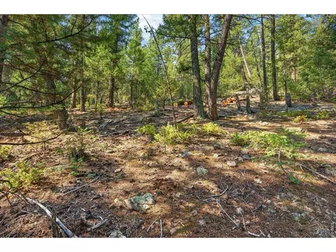 12907 S Cindy Ave, Pine, CO 80470 photo 3