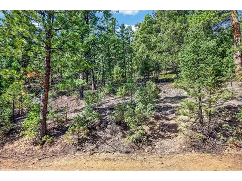 12907 S Cindy Ave, Pine, CO 80470 photo 5
