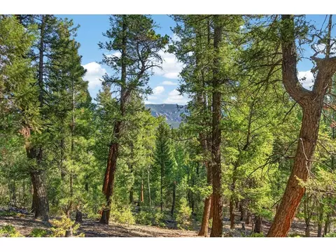 12907 S Cindy Ave, Pine, CO 80470 photo 6