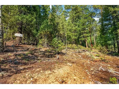12907 S Cindy Ave, Pine, CO 80470 photo 2