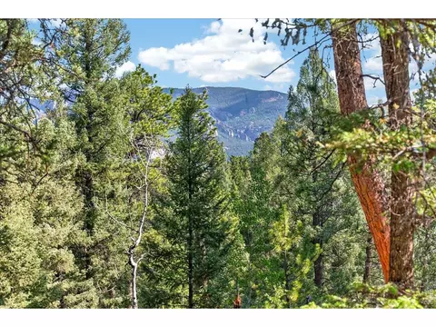 12907 S Cindy Ave, Pine, CO 80470 photo 7
