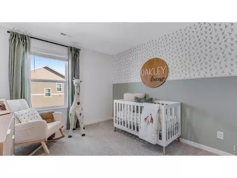 Bedroom - 1008 Annelles Pool Ln, Severance, CO 80550 photo 1 of 10