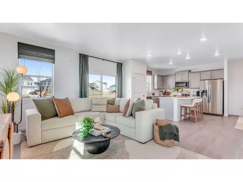 Living - 1008 Annelles Pool Ln, Severance, CO 80550 photo 2 of 4