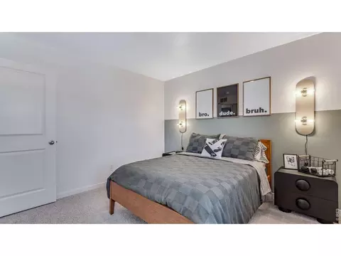 Bedroom - 1008 Annelles Pool Ln, Severance, CO 80550 photo 7 of 10
