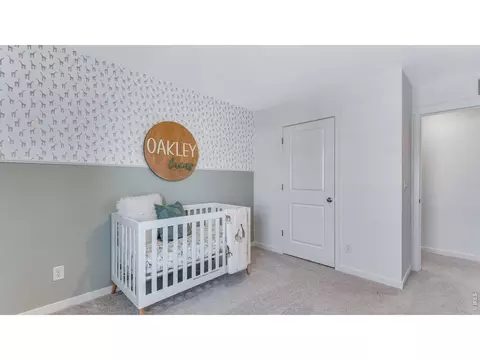 Bedroom - 1008 Annelles Pool Ln, Severance, CO 80550 photo 3 of 10