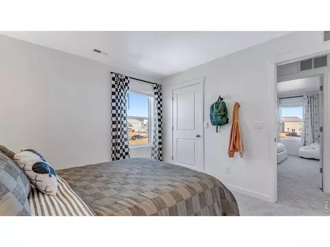Bedroom - 1008 Annelles Pool Ln, Severance, CO 80550 photo 5 of 10