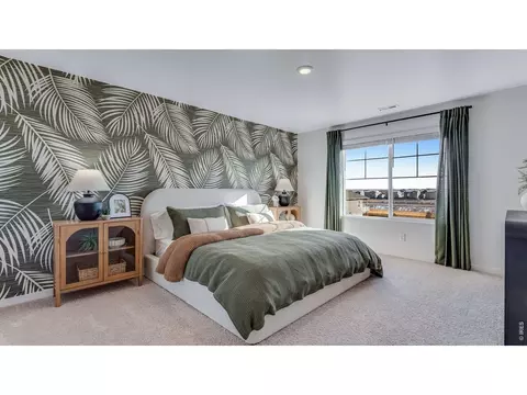Bedroom - 1008 Annelles Pool Ln, Severance, CO 80550 photo 9 of 10