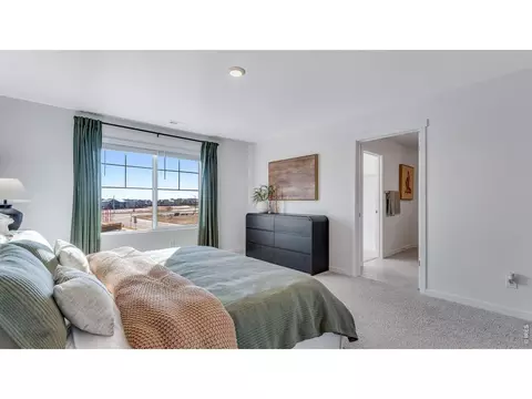 Bedroom - 1008 Annelles Pool Ln, Severance, CO 80550 photo 10 of 10