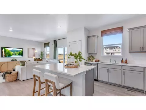 Kitchen - 1008 Annelles Pool Ln, Severance, CO 80550 photo 5 of 8
