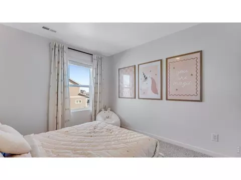 Bedroom - 1008 Annelles Pool Ln, Severance, CO 80550 photo 4 of 10