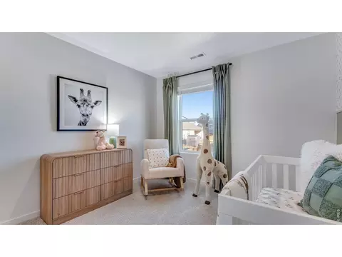 Bedroom - 1008 Annelles Pool Ln, Severance, CO 80550 photo 2 of 10