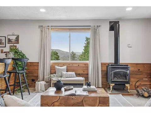 Living - 278 Overlook Dr, Bailey, CO 80421 photo 6 of 10