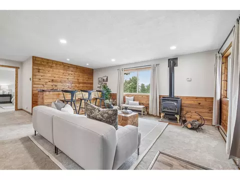 Living - 278 Overlook Dr, Bailey, CO 80421 photo 7 of 10
