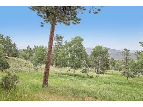 Exterior - 278 Overlook Dr, Bailey, CO 80421 photo 9 of 9