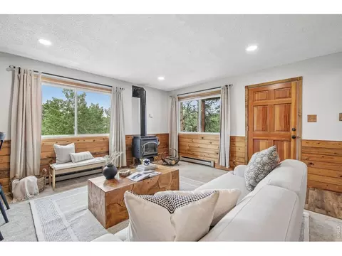 Living - 278 Overlook Dr, Bailey, CO 80421 photo 8 of 10