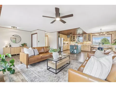 Living - 278 Overlook Dr, Bailey, CO 80421 photo 5 of 10