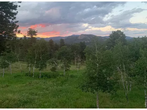 Other - 278 Overlook Dr, Bailey, CO 80421 photo 6 of 7