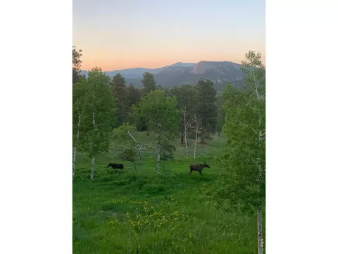 Other - 278 Overlook Dr, Bailey, CO 80421 photo 5 of 7