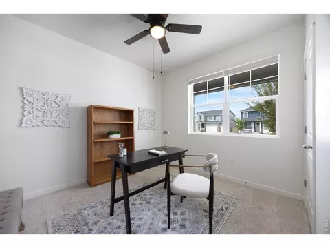 Other - 809 Elias Tarn Dr, Severance, CO 80550 photo 3 of 5
