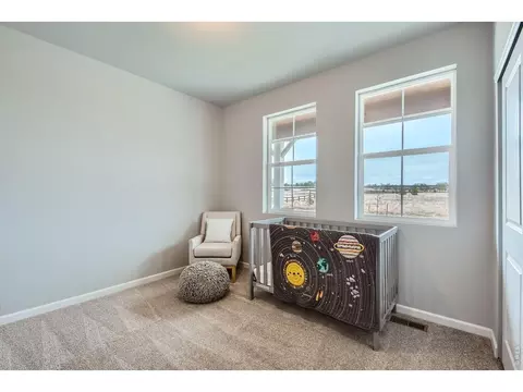 Bedroom - 7332 Swan River St, Frederick, CO 80530 photo 6 of 6
