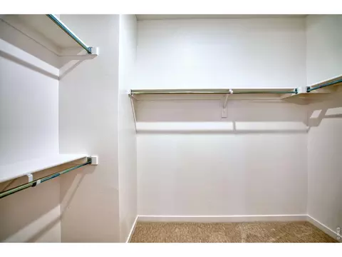 Other - 1456 Mullers Dr, Windsor, CO 80550 photo 3 of 8