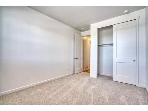 Other - 1456 Mullers Dr, Windsor, CO 80550 photo 5 of 8