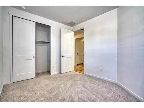 Other - 1456 Mullers Dr, Windsor, CO 80550 photo 4 of 8