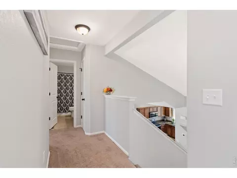 Entry Way - 956 Maplebrook Dr, Windsor, CO 80550 photo 4 of 5