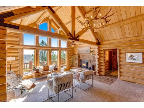 Living - 279 Quartz Way, Lyons, CO 80540 photo 4 of 8