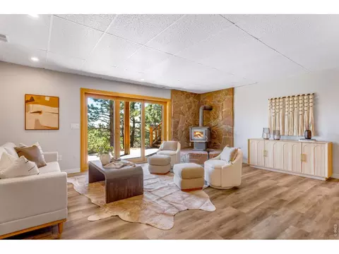 Living - 279 Quartz Way, Lyons, CO 80540 photo 5 of 8