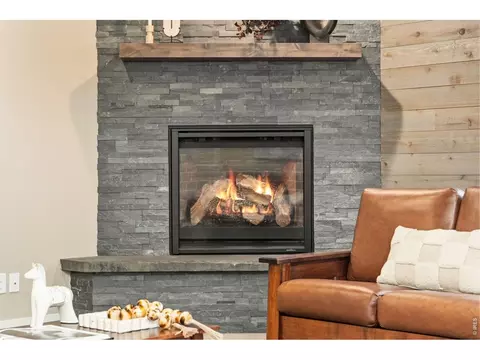 Living - 2882 Thunderview Dr, Timnath, CO 80547 photo 9 of 9