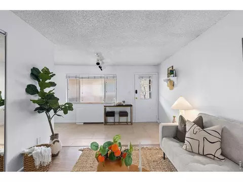 Living - 3161 Madison Ave, Boulder, CO 80303 photo 3 of 5