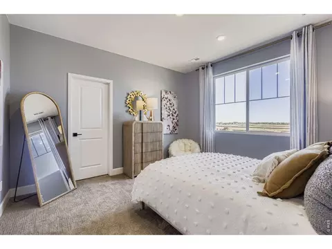 Bedroom - 598 Noola St, Windsor, CO 80550 photo 4 of 8