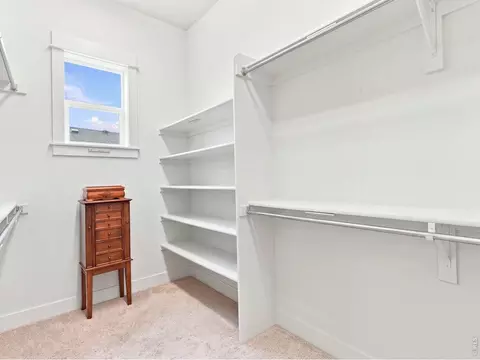 Other - 5510 Evangeline Dr, Windsor, CO 80550 photo 3 of 8