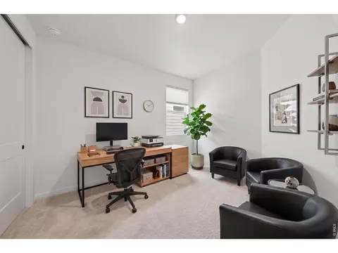 Other - 1431 Mullers Dr, Windsor, CO 80550 photo 3 of 4