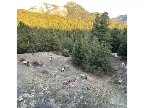 Other - 750 Cougar Dr, Boulder, CO 80302 photo 6 of 7