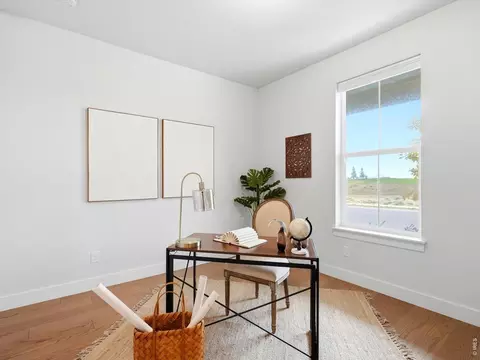 Other - 1746 Abundance Dr, Windsor, CO 80550 photo 3 of 10