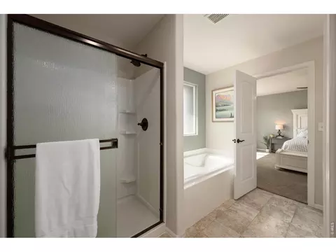 Bath - 2172 Grain Bin Ct, Windsor, CO 80550 photo 3 of 4