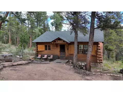 628 County Road 113s, Allenspark, CO 80510