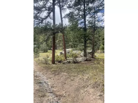 0 Cedar Dr, Lyons, CO 80540 photo 2