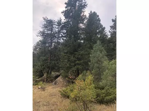 0 Cedar Dr, Lyons, CO 80540 photo 12