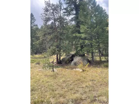 0 Cedar Dr, Lyons, CO 80540 photo 6