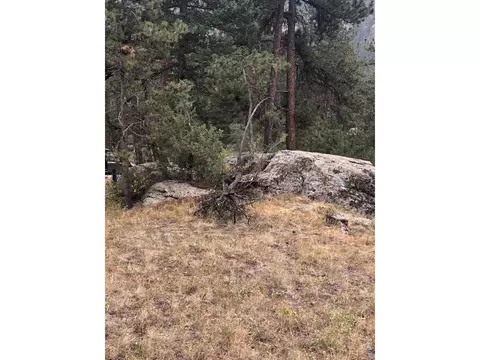 0 Cedar Dr, Lyons, CO 80540 photo 9