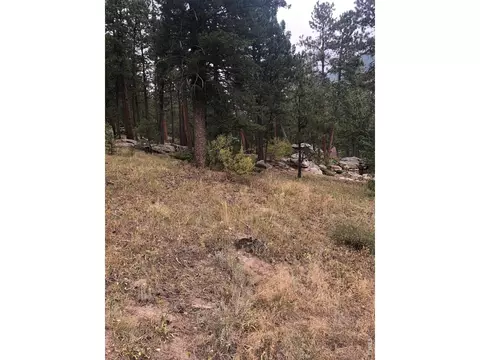 0 Cedar Dr, Lyons, CO 80540 photo 11