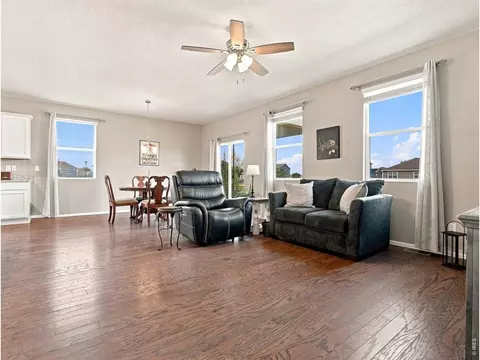 Living - 904 Charlton Dr, Windsor, CO 80550 photo 2 of 2